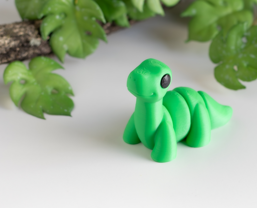 Pochette anniversaire Dinosaures